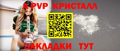 стаф Нальчик