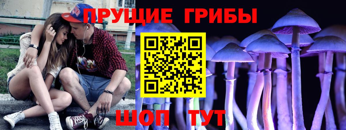 Галлюциногенные грибы мицелий Томск