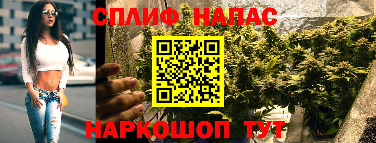 Томск  Бошки Шишки индика  Вход с VPN  Бошки Шишки ГИДРОПОН  МАРИХУАНА план 